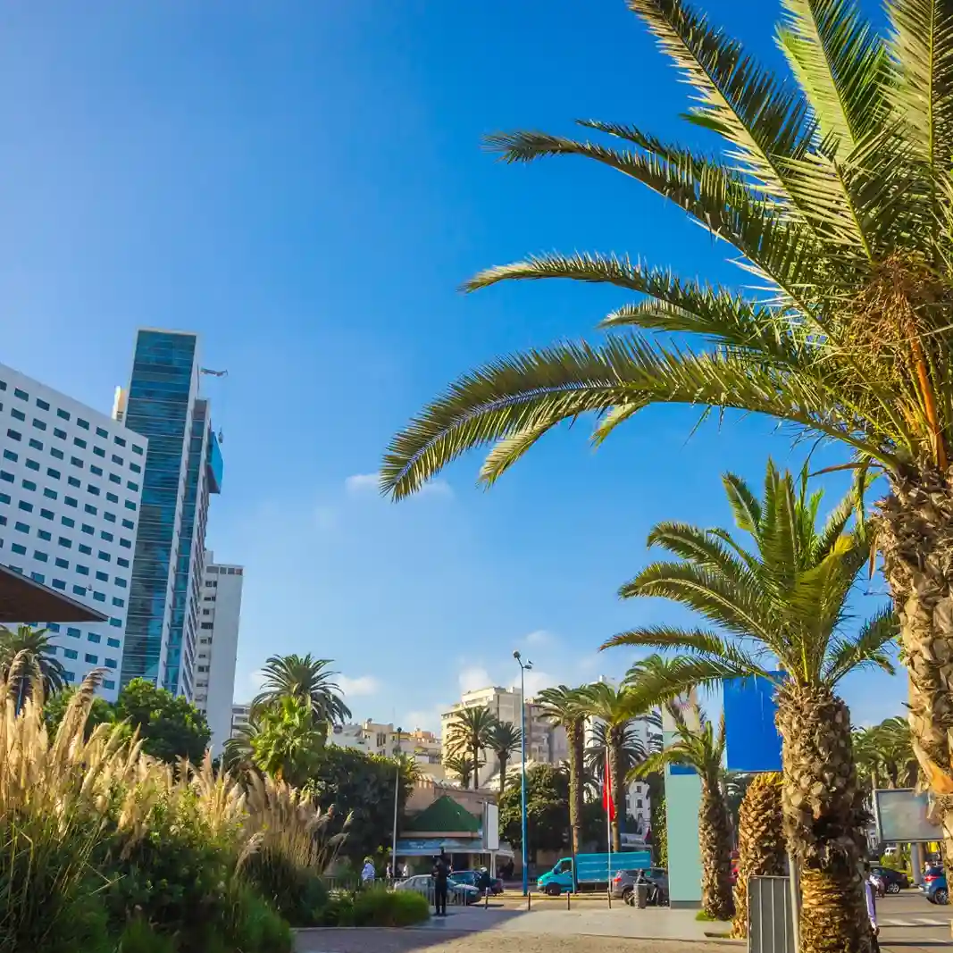 Private Guided Tour of Casablanca