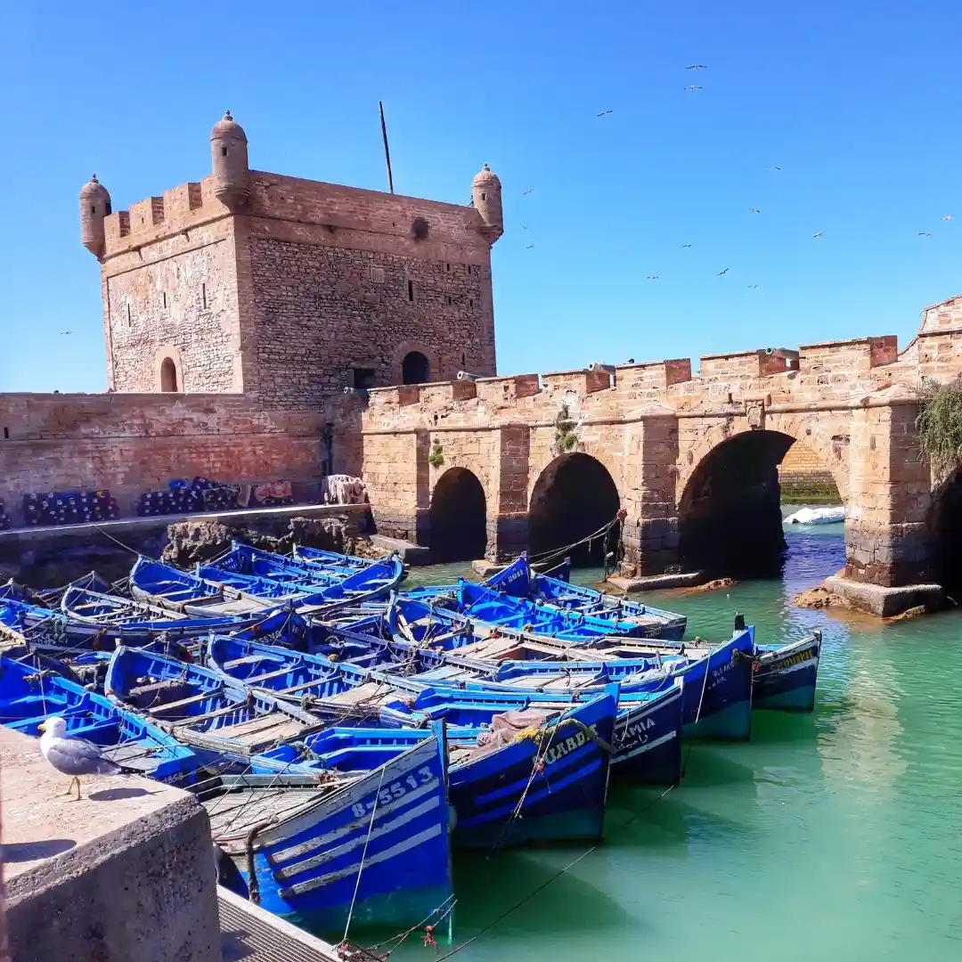 Marrakech to Essaouira Coastal Escape