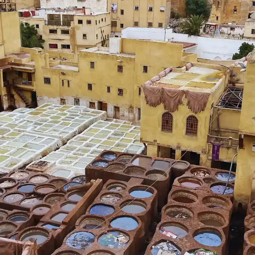 The Chouara Tannery, Fez