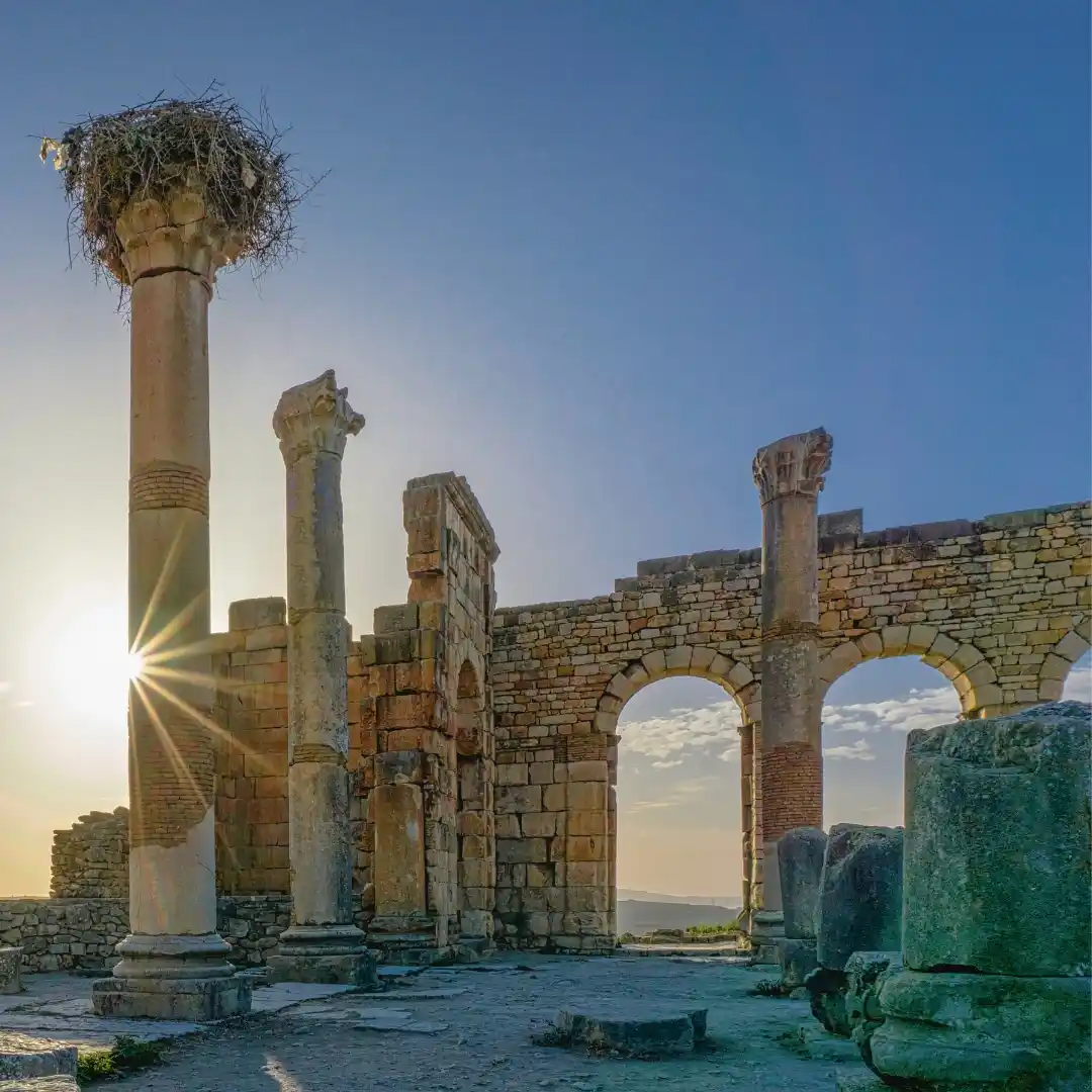 Meknes & Volubilis 1 Day Tour from Fez A Sultan's Dream, An Empire's Echo
