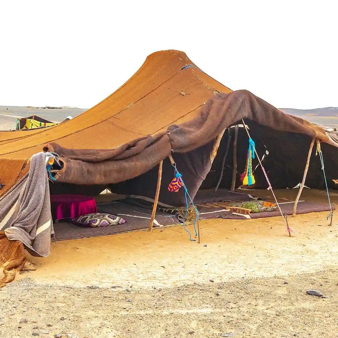 Berber, Merzouga — Berber Experience 1 Day Tour from Merzouga A Lesson in Desert Survival (and Tea)