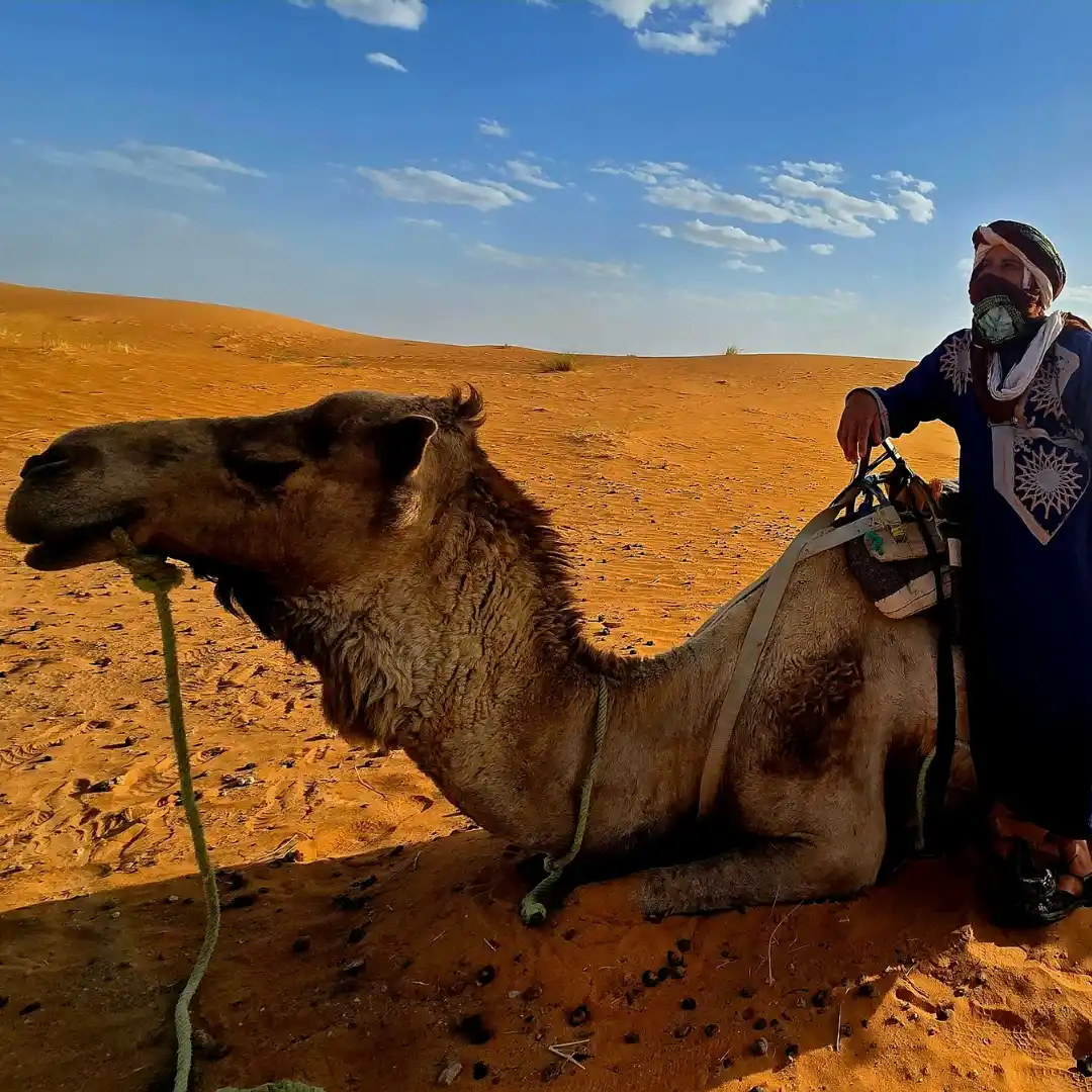 Merzouga, Camel Ride — Fez to Sahara Grand Desert Experience