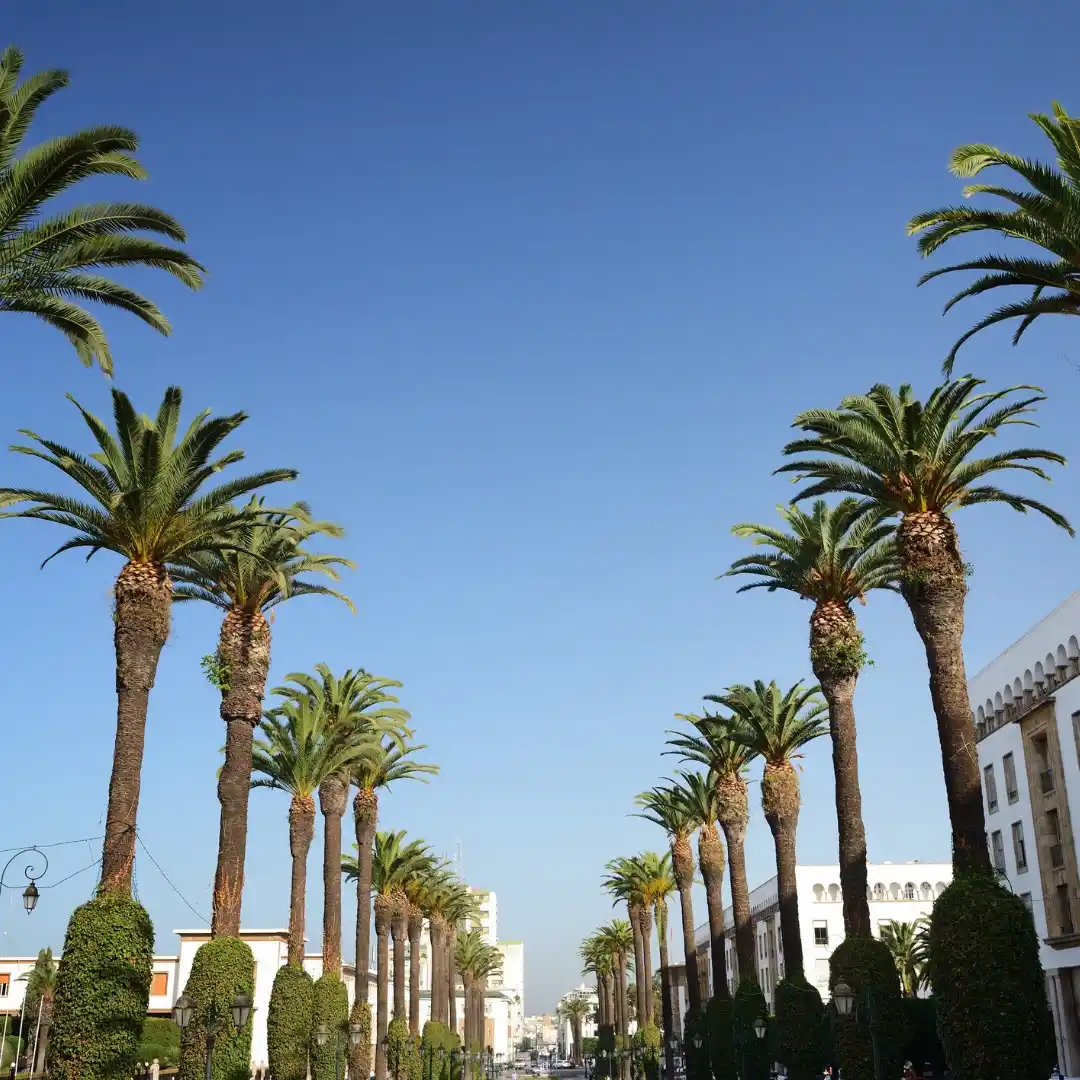 Avenue Mohammed V, Rabat