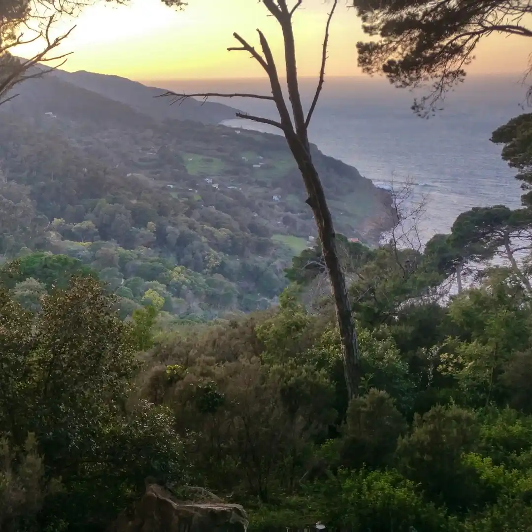 Parc Perdicaris, Tangier